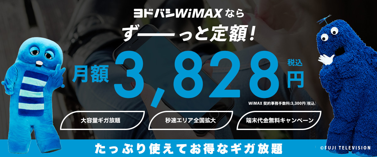 ヨドバシカメラwimax 5g 公式