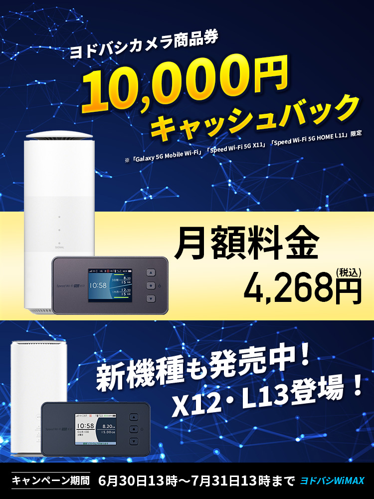 ⑤ヨドバシカメラの商品券 一万円