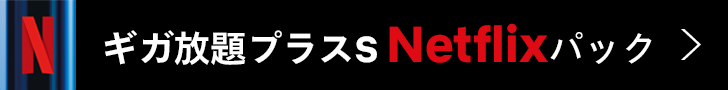 ギガ放題プラスS Netflixパック